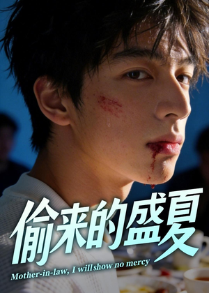 偷来的盛夏（40集）在哪个平台能看