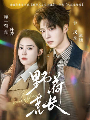 野荷荒长（86集）短剧小说在线看