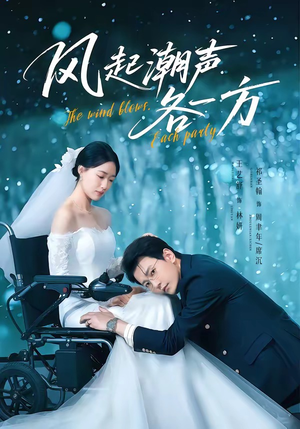 风起潮声各一方（84集）短剧精彩片段