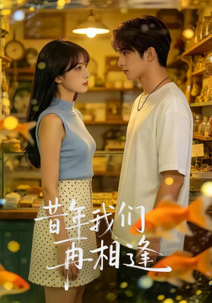 昔年我们再相逢（40集）在线看完整版