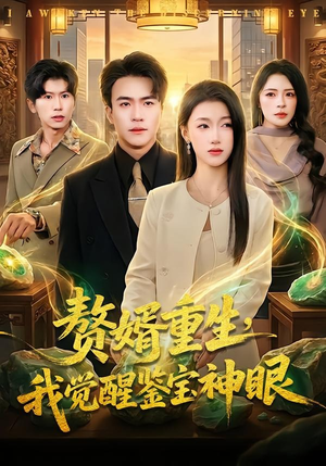 赘婿重生，我觉醒鉴宝神眼（80集）王一共多少集