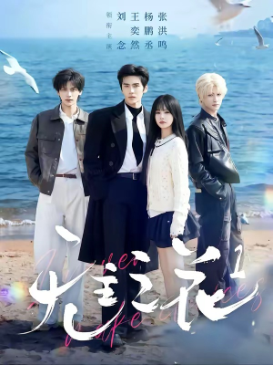 无主之花1（72集）甜宠短剧推荐