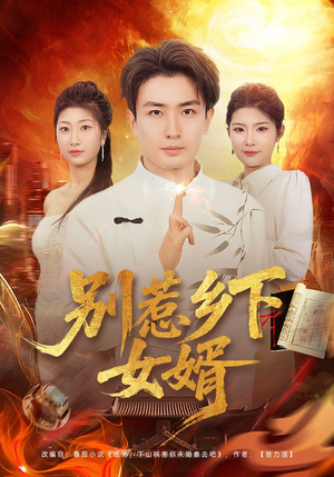 别惹乡下女婿（80集）热门短剧在线看