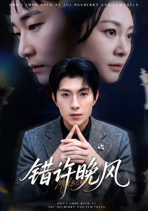 错许晚风（60集）热播短剧全集看