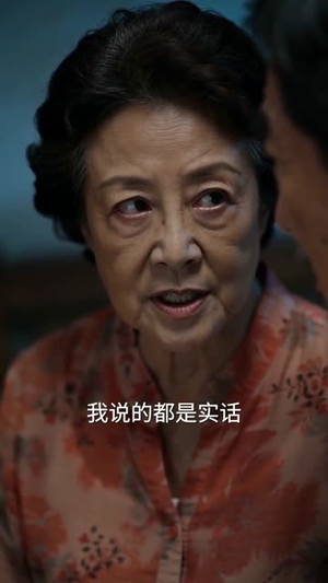 养老保卫战（30集）高清画质免费看