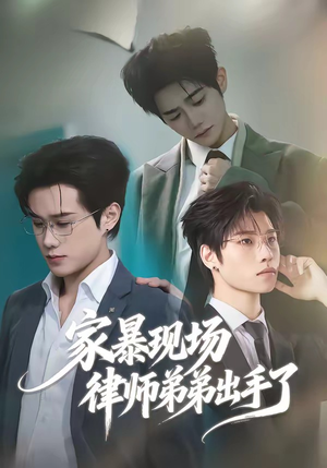 家暴现场律师弟弟出手了（30集）精彩短剧免费看
