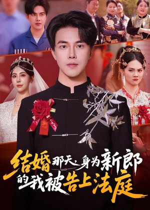 结婚那天，身为新郎的我被告上法庭（59集）追短剧看全集