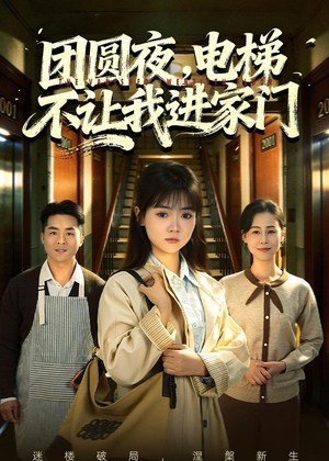 团圆夜，电梯不让我进家门（52集）上热门短剧
