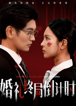 婚礼终局倒计时(60集) 婚礼终局倒计时(60集)完整版