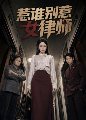 惹谁别惹女律师（61集）评价怎么样