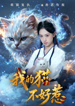 我的猫不好惹（42集）今日短剧分享