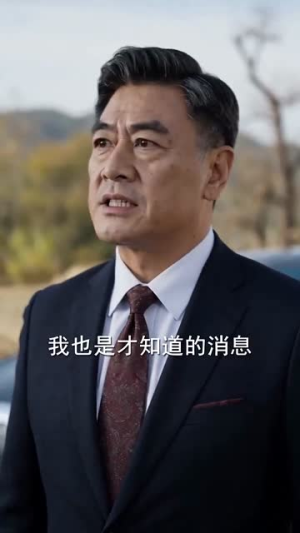 风归故里深情已逝（72集）短剧全集大结局