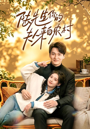 陆先生你的夫人来自农村（50集）第32集