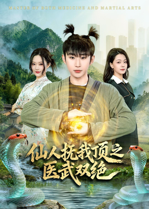 仙人抚我顶之医武双绝(66集) 仙人抚我顶之医武双绝(66集)一口气追完全集