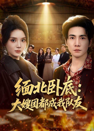 缅北卧底：大嫂团都成我队友（71集）全集免费看短剧