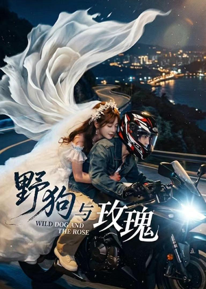 野狗与玫瑰(30集) 野狗与玫瑰(30集)经典老剧免费看