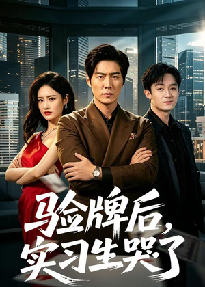 验牌后，实习生哭了（51集）高清画质免费看