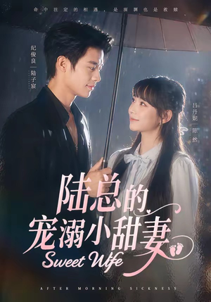 陆总的宠溺小甜妻(61集) 陆总的宠溺小甜妻(61集)海量资源免费看