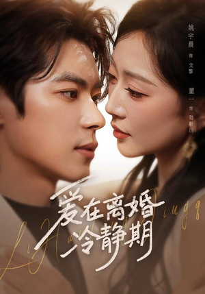 爱在离婚冷静期(73集) 爱在离婚冷静期(73集)观看软件