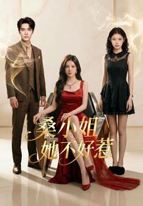 桑小姐她不好惹(103集) 桑小姐她不好惹(103集)古装短剧热播
