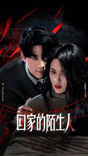 回家的陌生人（61集）全剧免费观看