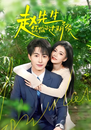 赵先生结婚证过期不候（50集）精彩连连免费看
