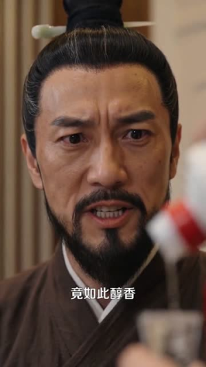 白捡公主，带着皇帝老丈人谋反（72集）全集完整版