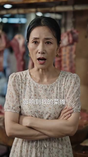 天上掉下来个林先生(50集) 天上掉下来个林先生(50集)怎么看全集