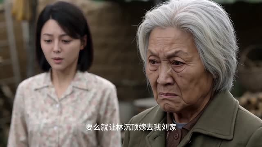 重返1979发家致富奔小康（20集）短剧免费看全集