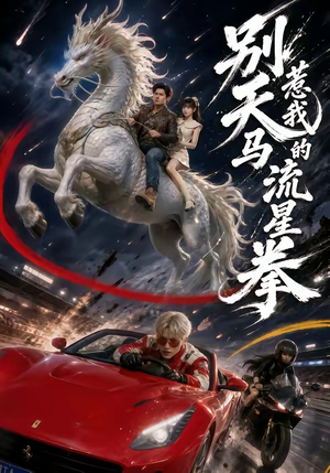 别惹我的天马流星拳(40集) 别惹我的天马流星拳(40集)免费看全网短剧