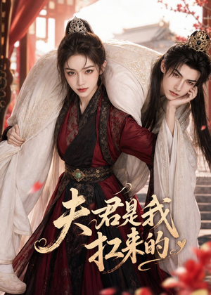 夫君是我扛来的(20集) 夫君是我扛来的(20集)好看短剧推荐