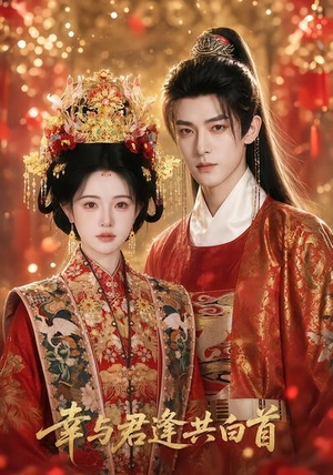 幸与君逢共白首(79集) 幸与君逢共白首(79集)全集下载