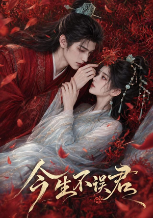 今生不误君(106集) 今生不误君(106集)在线观看全集