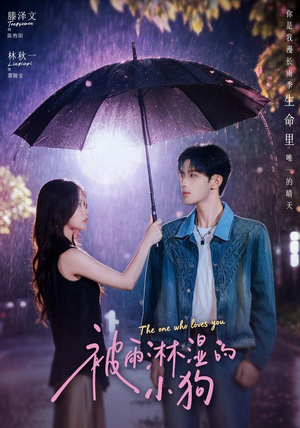 被雨淋湿的小狗(80集) 被雨淋湿的小狗(80集)最近很火的短剧