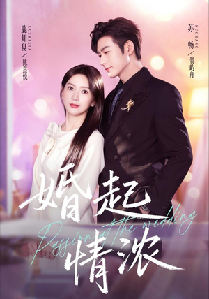 婚起情浓(99集) 婚起情浓(99集)好看的短剧推荐