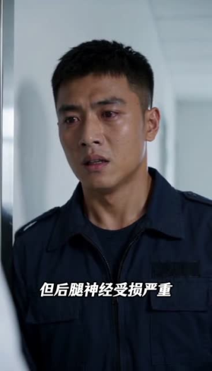 犬语翻译官（41集）在线看完整版