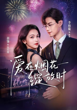 爱在烟花绽放时(60集) 爱在烟花绽放时(60集)原创精彩短剧