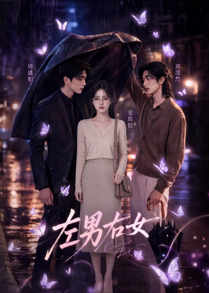 左男右女（63集）免费观看全集