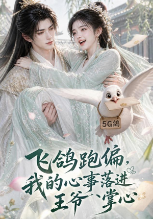 飞鸽跑偏，我的心事落进王爷掌心（31集）短剧热门合集