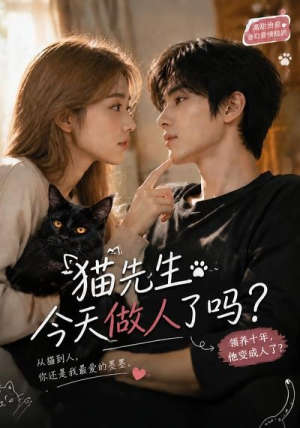 猫先生今天做人了吗?(84集) 猫先生今天做人了吗?(84集)看短剧放松一下
