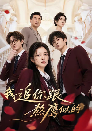 我追你跟熬鹰似的（95集）全集免费看短剧
