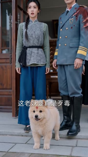 灵犬携福来,旺遍上海滩(80集) 灵犬携福来,旺遍上海滩(80集)看短剧放松一下