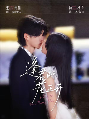 逢君时花正开(72集) 逢君时花正开(72集)在线免费观影