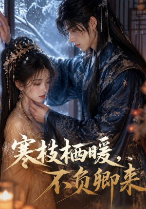 寒枝栖暖，不负卿来（50集）正能量短剧分享