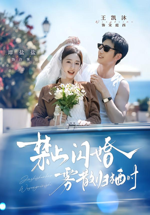 禁止闪婚，雾散归栖时（66集）短剧小说在线看
