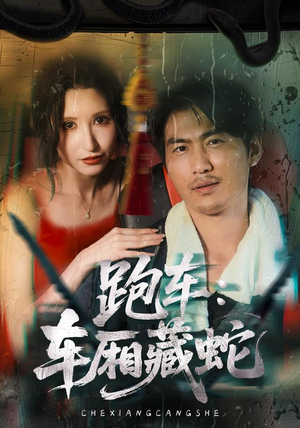 跑车:车厢藏蛇(54集) 跑车:车厢藏蛇(54集)爱上了这部剧了
