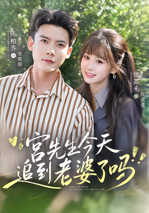 宫先生今天追到老婆了吗(73集) 宫先生今天追到老婆了吗(73集)全集一网打尽