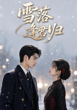 雪落逢君归（116集）最新上映免费看