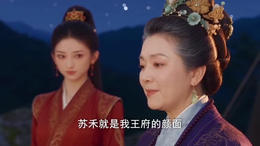 笨蛋王妃纨绔王爷，掀翻这京城第一季（98集）看到了大结局