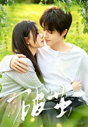 破茧（76集）热播短剧抢先看